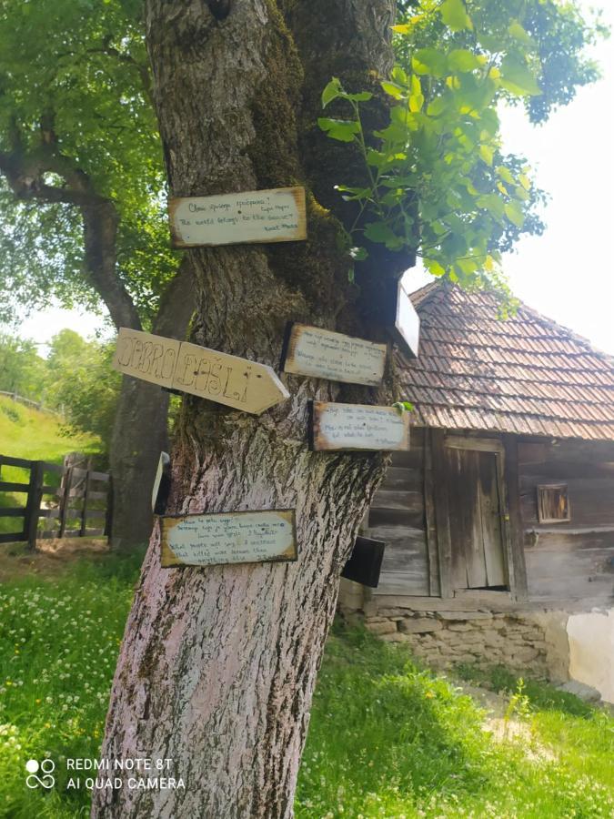 Etno Kuca Parce Neba Case de vacanță Užice