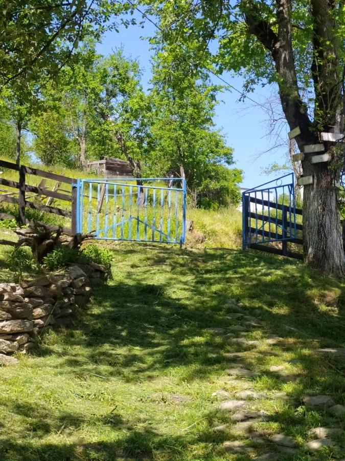 Etno Kuca Parce Neba Case de vacanță *